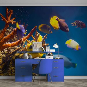 Denizaltı Sarı Japon Balığı Manzaralı Duvar Kağıdı - Dkm851027