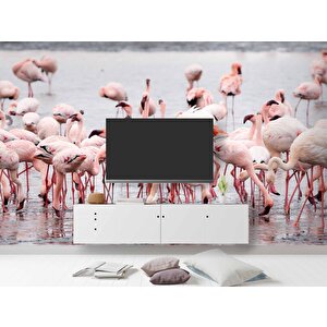 Deniz Ve Pembe Flamingo Manzaları Duvar Kağıdı - Dkm749002 100x200 cm