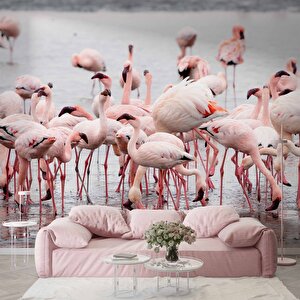 Deniz Ve Pembe Flamingo Manzaları Duvar Kağıdı - Dkm749045 150x260 cm