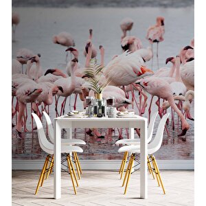 Deniz Ve Pembe Flamingo Manzaları Duvar Kağıdı - Dkm749045