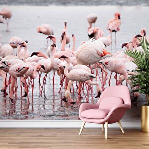 Deniz Ve Pembe Flamingo Manzaları Duvar Kağıdı - Dkm749045