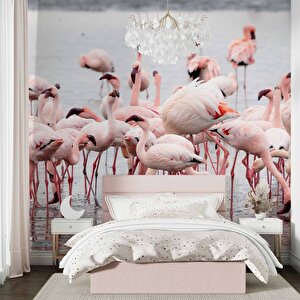Deniz Ve Pembe Flamingo Manzaları Duvar Kağıdı - Dkm749047 225x260 cm