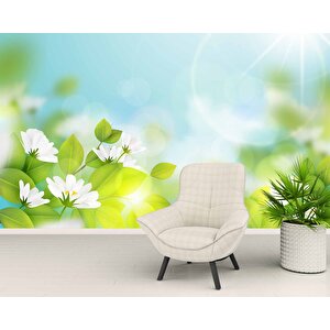 Doğal Papatya Temalı Duvar Kağıdı - Dkm568079