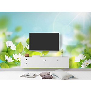 Doğal Papatya Temalı Duvar Kağıdı - Dkm568022 900x200 cm