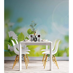 Doğal Papatya Temalı Duvar Kağıdı - Dkm568022