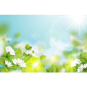 Doğal Papatya Temalı Duvar Kağıdı - Dkm568022