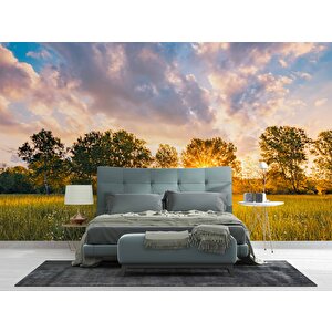 Gündoğumu Doğa Manzaralı Duvar Kağıdı Baskı - Dkm251039 550x240 cm