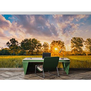 Gündoğumu Doğa Manzaralı Duvar Kağıdı Baskı - Dkm251039