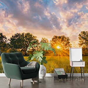 Gündoğumu Doğa Manzaralı Duvar Kağıdı Baskı - Dkm251039