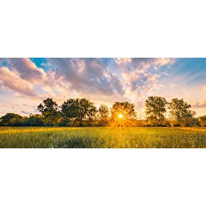 Gündoğumu Doğa Manzaralı Duvar Kağıdı Baskı - Dkm251039