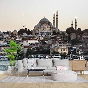 İstanbul Cami Manzaralı Duvar Kağıdı Baskı - Dkm502032 375x240 cm