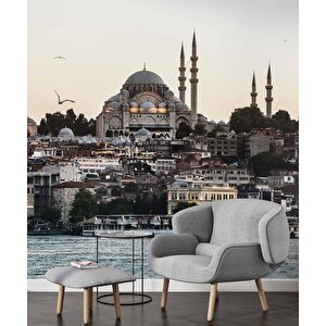 İstanbul Cami Manzaralı Duvar Kağıdı Baskı - Dkm502032