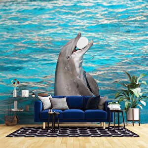 Havuz Ve Yunus Balığı Dansı Manzaralı Duvar Kağıdı - Dkm848027 250x240 cm