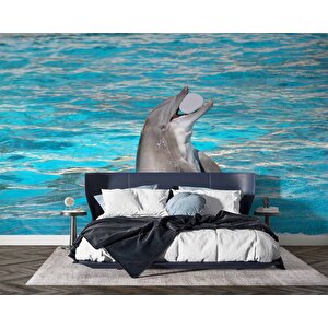 Havuz Ve Yunus Balığı Dansı Manzaralı Duvar Kağıdı - Dkm848027 250x240 cm