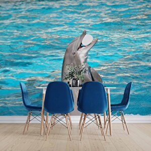 Havuz Ve Yunus Balığı Dansı Manzaralı Duvar Kağıdı - Dkm848027