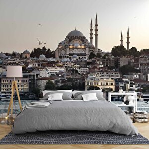 İstanbul Cami Manzaralı Duvar Kağıdı Baskı - Dkm502126 800x315 cm