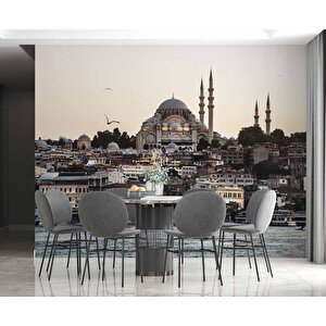 İstanbul Cami Manzaralı Duvar Kağıdı Baskı - Dkm502126