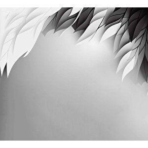 3 Boyutlu Siyah Beyaz Tüy Desenli Duvar Kağıdı - Dkm713080