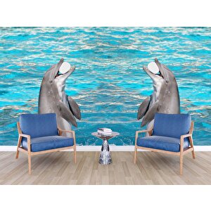 Havuz Ve Yunus Balığı Dansı Manzaralı Duvar Kağıdı - Dkm848122