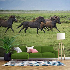 Kırsal Ve At Manzaralı Duvar Kağıdı - Dkm695081 550x280 cm