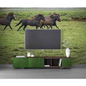 Kırsal Ve At Manzaralı Duvar Kağıdı - Dkm695081 550x280 cm