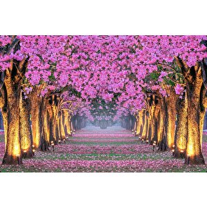 Pembe Çiçekli Ağaç Manzaralı Duvar Kağıdı - Dkb967026