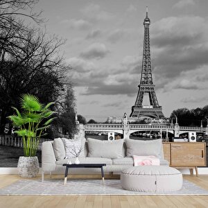 Siyah Beyaz Paris Eyfel Kulesi Duvar Kağıdı - Dkm449009 325x200 cm