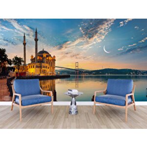 İstanbul Boğaz Manzaralı Duvar Kağıdı - Dkm493079 500x280 cm