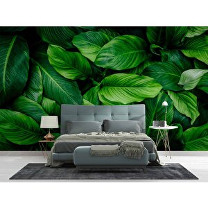Yeşil Yaprak Arkaplan Temalı Duvar Kağıdı - Dkm998042 800x240 cm