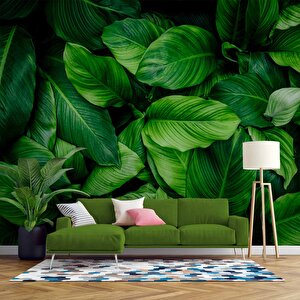 Yeşil Yaprak Arkaplan Temalı Duvar Kağıdı - Dkm998010 350x200 cm