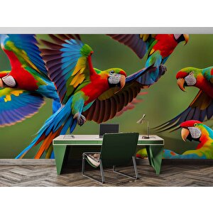Renkli Papağanlar Duvar Kağıdı Baskı - Dkm539069