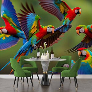 Renkli Papağanlar Duvar Kağıdı Baskı - Dkm539069