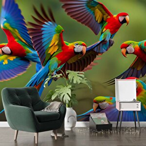Renkli Papağanlar Duvar Kağıdı Baskı - Dkm539069