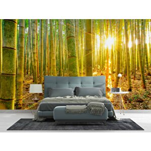 Bambu Ormanı Temalı Duvar Kağıdı - Dkm699083 700x280 cm