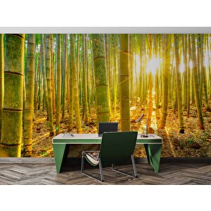 Bambu Ormanı Temalı Duvar Kağıdı - Dkm699032