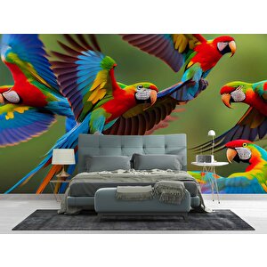 Renkli Papağanlar Duvar Kağıdı Baskı - Dkm539017 525x200 cm
