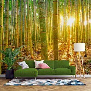 Bambu Ormanı Temalı Duvar Kağıdı - Dkm699017 525x200 cm