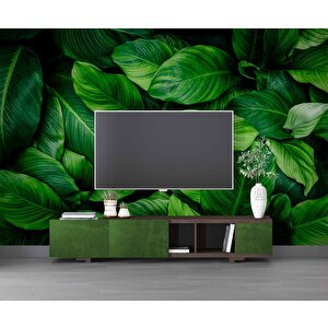 Yeşil Yaprak Arkaplan Temalı Duvar Kağıdı - Dkm998086 100x300 cm