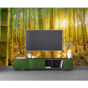 Bambu Ormanı Temalı Duvar Kağıdı - Dkm699098