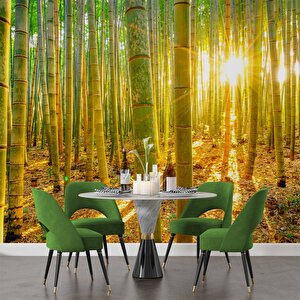 Bambu Ormanı Temalı Duvar Kağıdı - Dkm699098