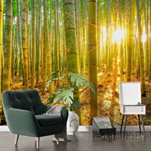 Bambu Ormanı Temalı Duvar Kağıdı - Dkm699098