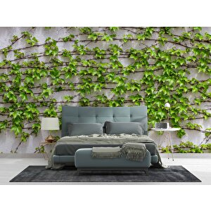 Sarmaşıklı Duvar Teması Duvar Kağıdı Baskı - Dkm523100 500x300 cm