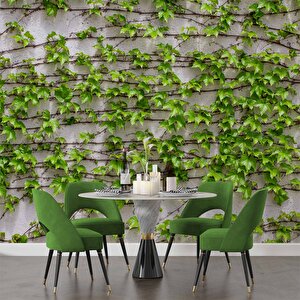 Sarmaşıklı Duvar Teması Duvar Kağıdı Baskı - Dkm523048