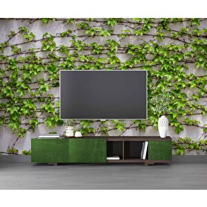 Sarmaşıklı Duvar Teması Duvar Kağıdı Baskı - Dkm523109 200x315 cm