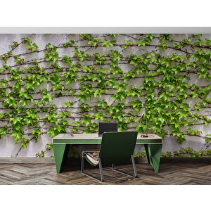 Sarmaşıklı Duvar Teması Duvar Kağıdı Baskı - Dkm523109