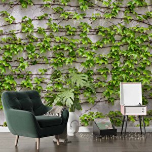 Sarmaşıklı Duvar Teması Duvar Kağıdı Baskı - Dkm523109