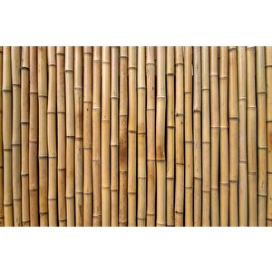 3 Boyutlu Bambu Temalı Duvar Kağıdı - Dkm626086