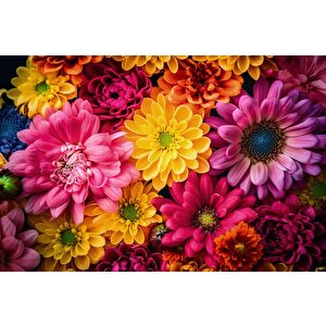 Pembe Sarı Çiçek Temalı Duvar Kağıdı Baskı - Dkm519064