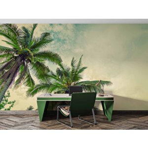 Tropikal Palmiye Ağaç Manzaralı Duvar Kağıdı - Dkm985123