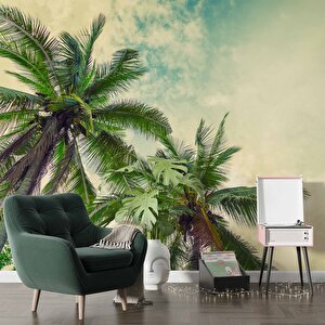 Tropikal Palmiye Ağaç Manzaralı Duvar Kağıdı - Dkm985123
